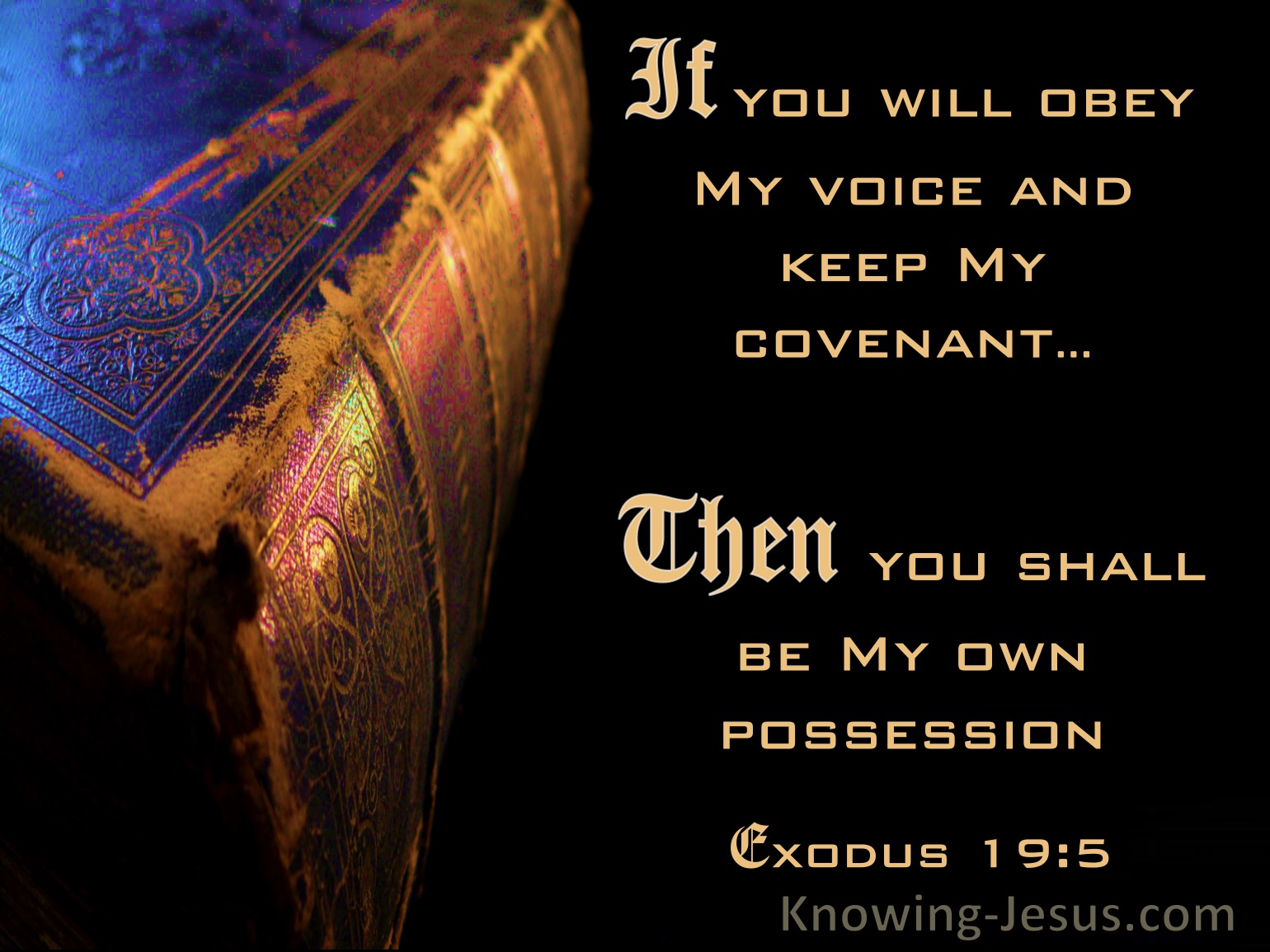 Exodus 6 verse clearance 5